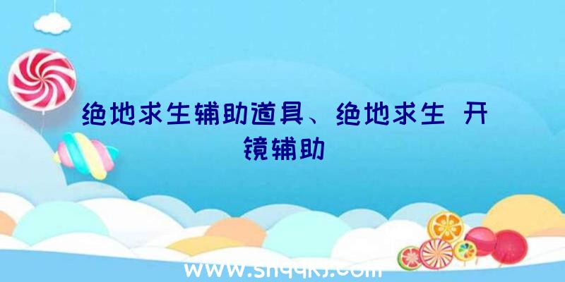 绝地求生辅助道具、绝地求生